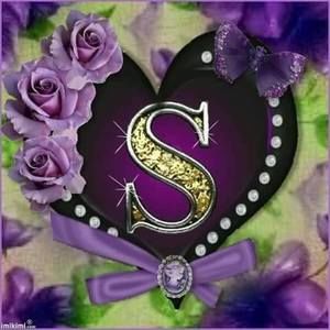 Meet your Posher, Shannelle